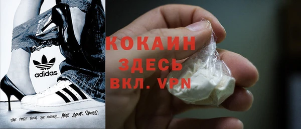 тгк Абаза