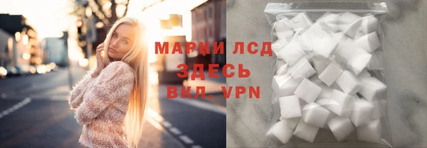 прущие грибы Алзамай