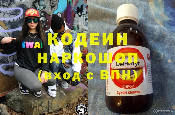 сатива Сатка